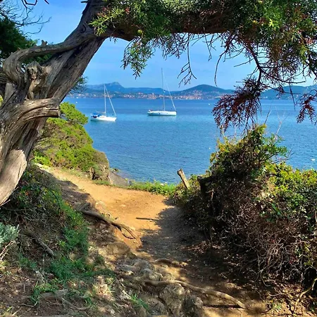 T2 Climatise Avec Terrasse & Parking A Pied 5min Presqu Ile De Giens